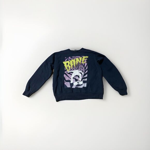 Vintage Bane Band Graphic Sweatshirt Pullover Y2K Grunge Punk Rock Merch - Picture 1 of 4